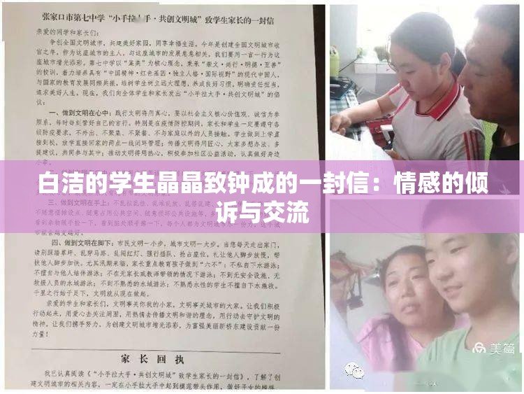 白洁的学生晶晶致钟成的一封信：情感的倾诉与交流