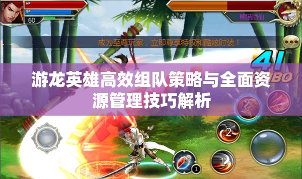 游龙英雄高效组队策略与全面资源管理技巧解析