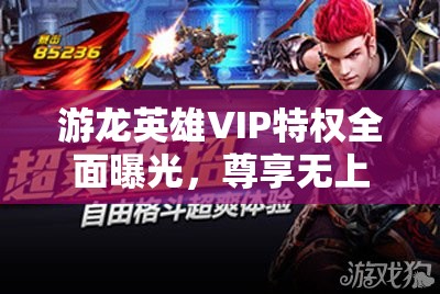 游龙英雄VIP特权全面曝光，尊享无上荣耀，助你驰骋九天战场！