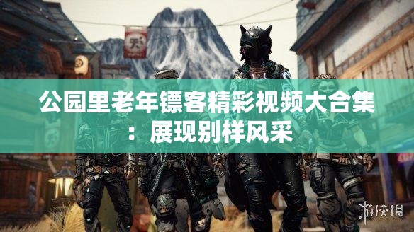 公园里老年镖客精彩视频大合集：展现别样风采