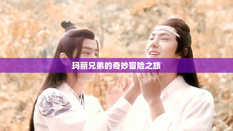 玛丽兄弟的奇妙冒险之旅