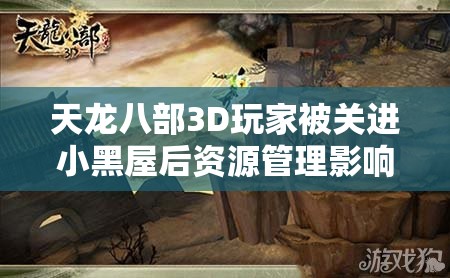 天龙八部3D玩家被关进小黑屋后资源管理影响及深度解析