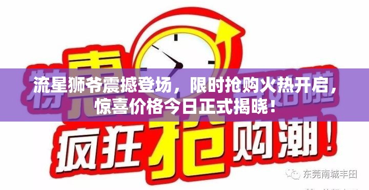 流星狮爷震撼登场，限时抢购火热开启，惊喜价格今日正式揭晓！