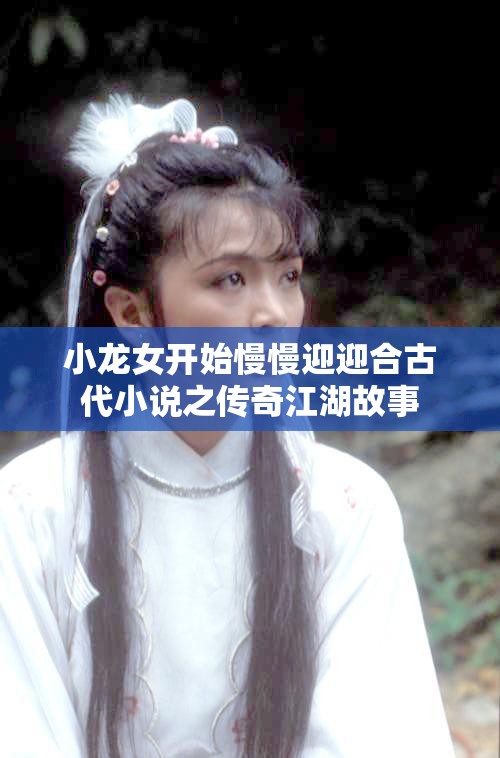 小龙女开始慢慢迎迎合古代小说之传奇江湖故事