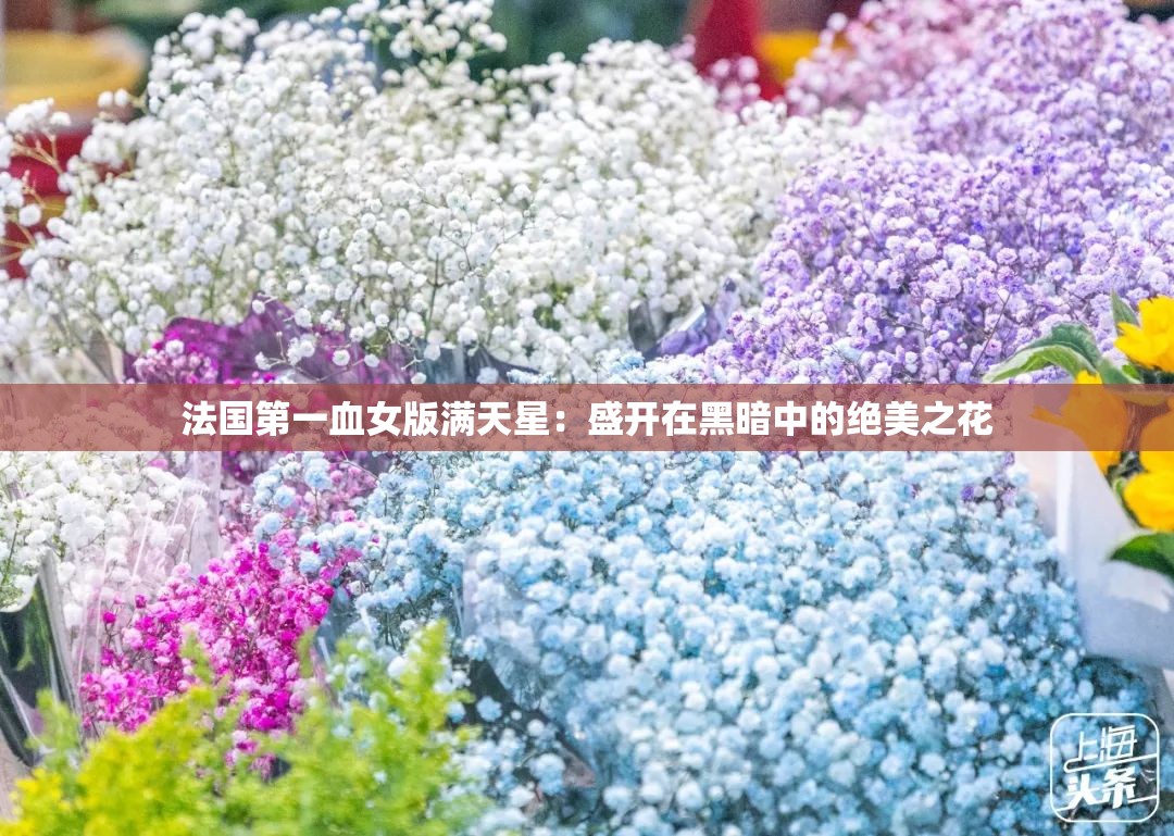 法国第一血女版满天星：盛开在黑暗中的绝美之花