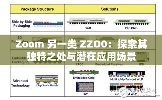 Zoom 另一类 ZZO0：探索其独特之处与潜在应用场景