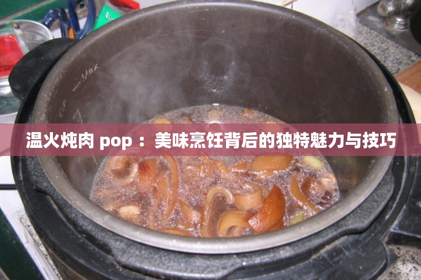 温火炖肉 pop ：美味烹饪背后的独特魅力与技巧