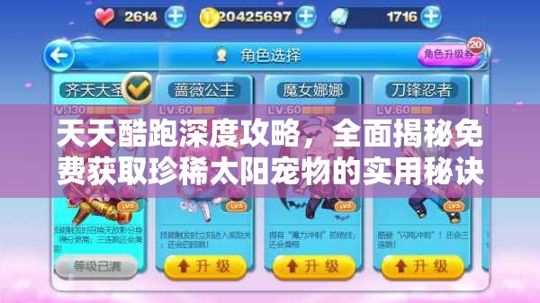 天天酷跑深度攻略，全面揭秘免费获取珍稀太阳宠物的实用秘诀