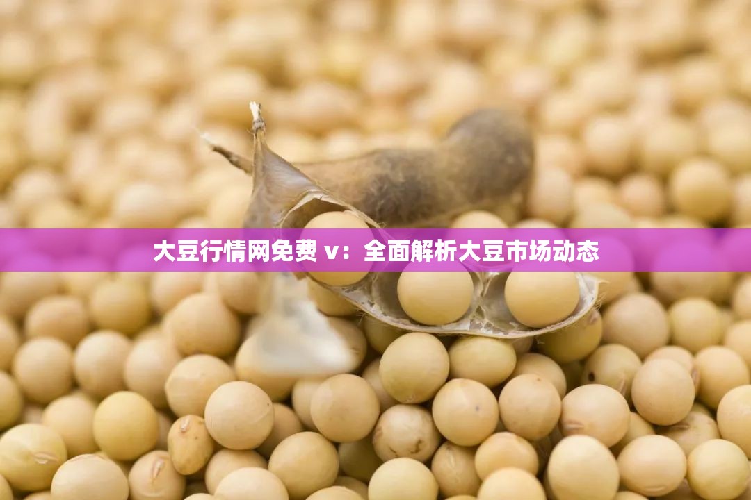 大豆行情网免费 v：全面解析大豆市场动态