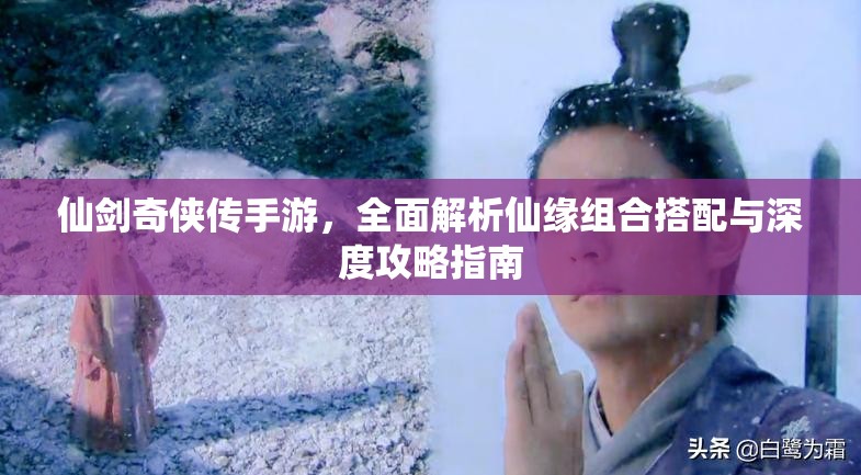 仙剑奇侠传手游，全面解析仙缘组合搭配与深度攻略指南