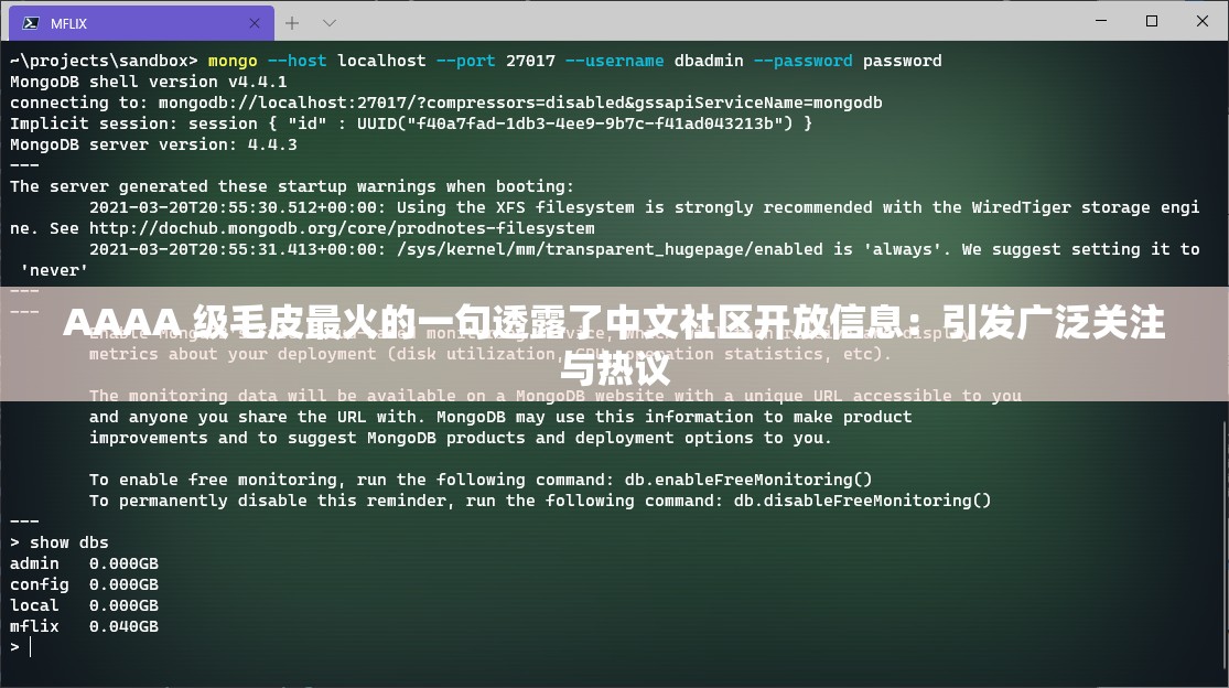 AAAA 级毛皮最火的一句透露了中文社区开放信息：引发广泛关注与热议