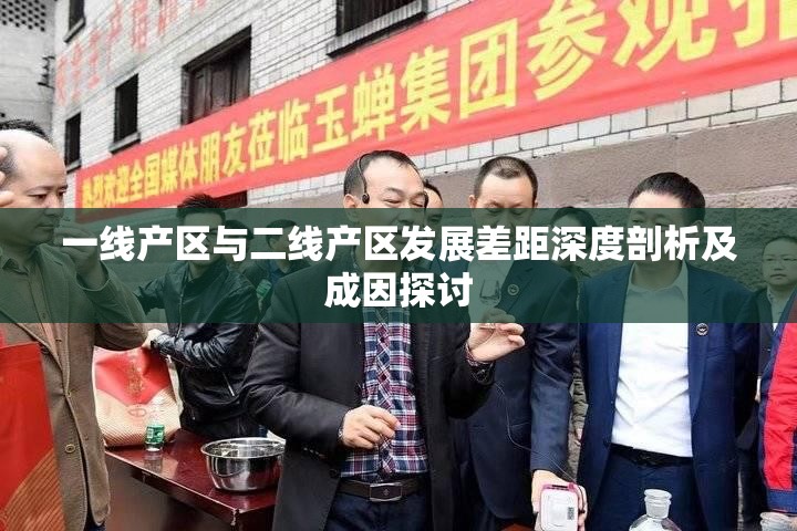 一线产区与二线产区发展差距深度剖析及成因探讨