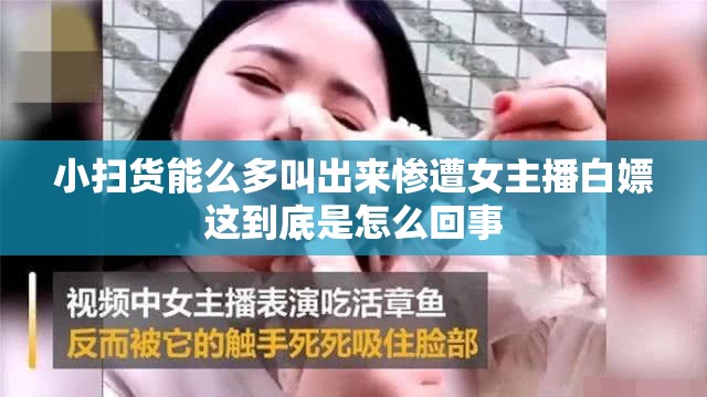 小扫货能么多叫出来惨遭女主播白嫖这到底是怎么回事