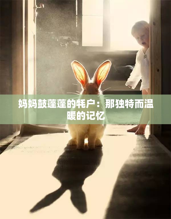 妈妈鼓蓬蓬的牦户：那独特而温暖的记忆