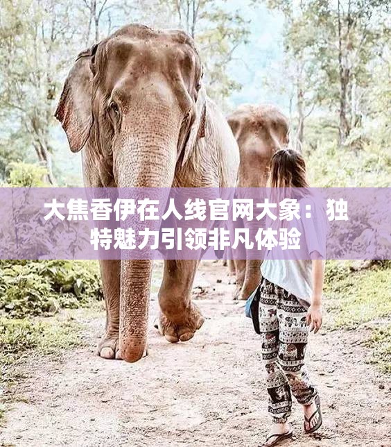大焦香伊在人线官网大象：独特魅力引领非凡体验