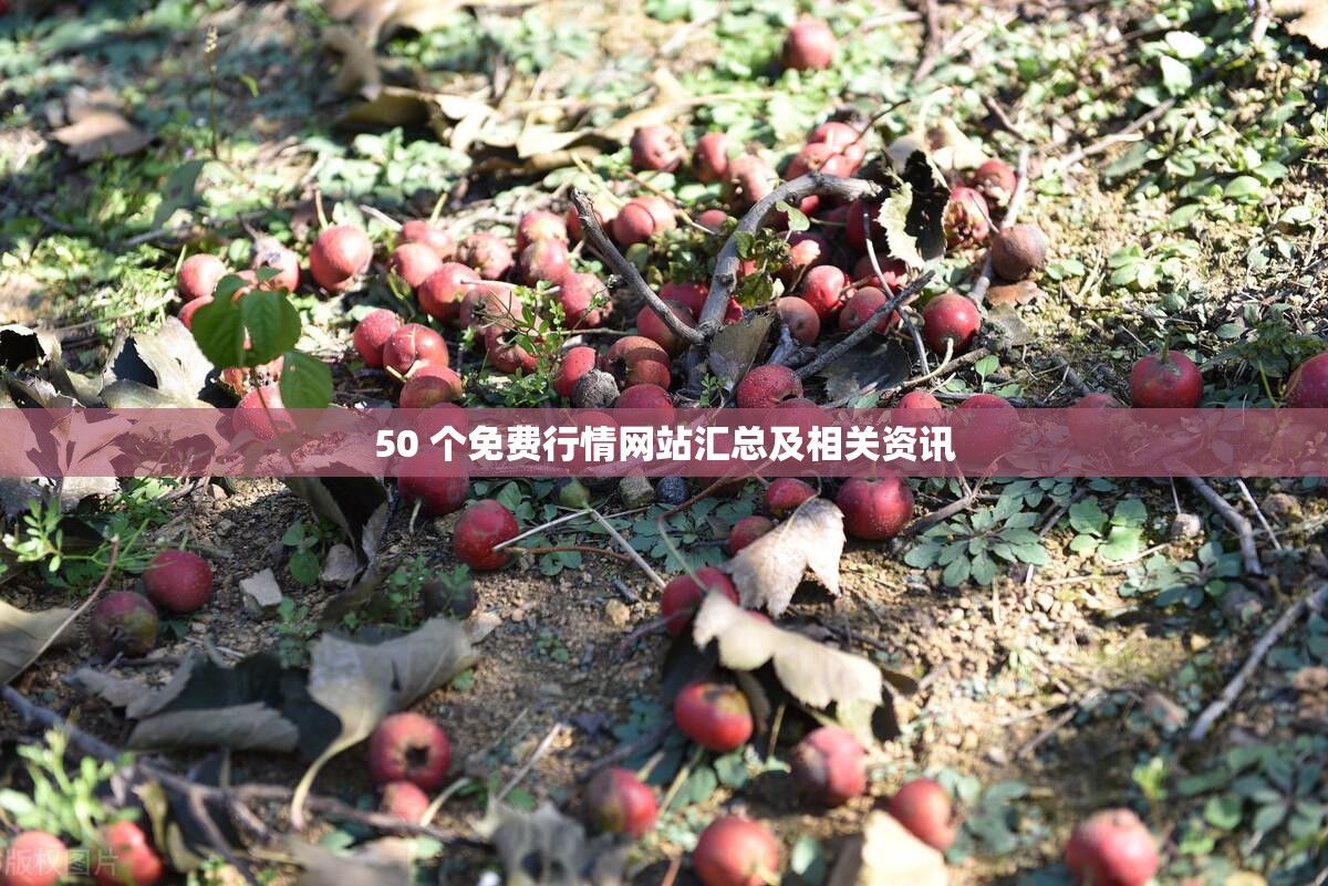 50 个免费行情网站汇总及相关资讯