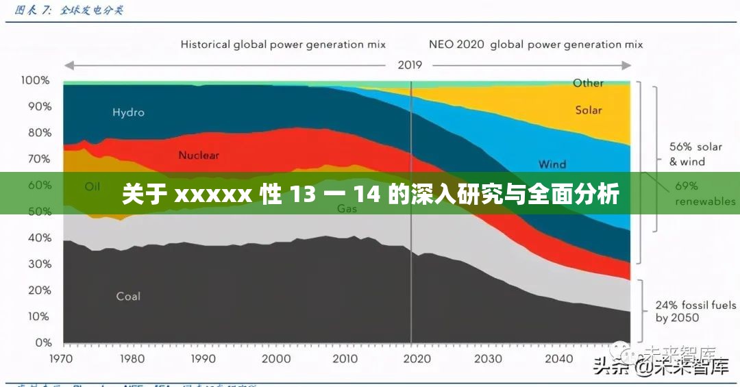 关于 xxxxx 性 13 一 14 的深入研究与全面分析