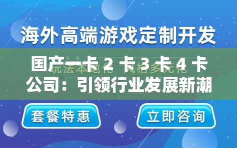国产一卡 2 卡 3 卡 4 卡公司：引领行业发展新潮流