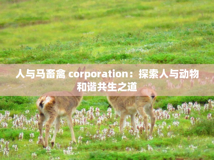人与马畜禽 corporation：探索人与动物和谐共生之道