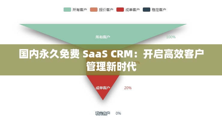 国内永久免费 SaaS CRM：开启高效客户管理新时代