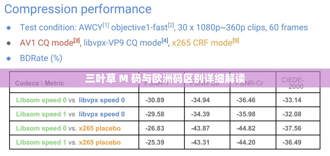 三叶草 M 码与欧洲码区别详细解读