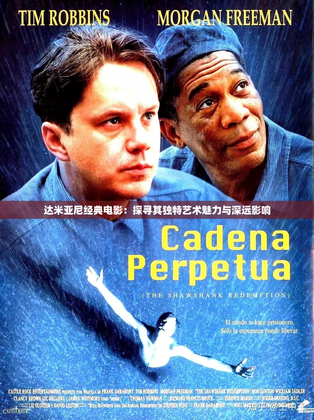 达米亚尼经典电影：探寻其独特艺术魅力与深远影响