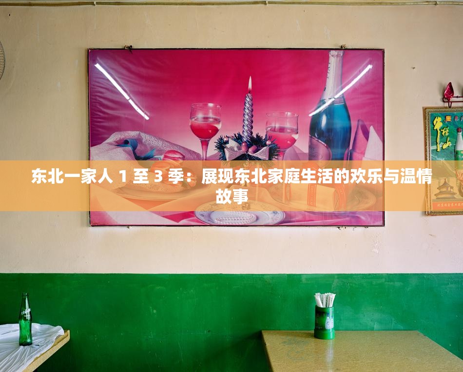 东北一家人 1 至 3 季：展现东北家庭生活的欢乐与温情故事