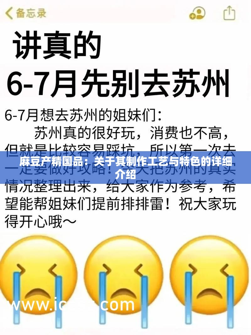 麻豆产精国品：关于其制作工艺与特色的详细介绍