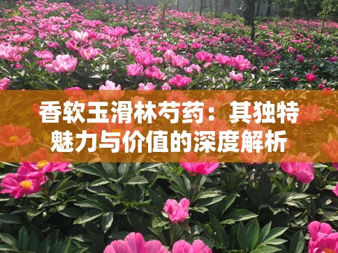 香软玉滑林芍药：其独特魅力与价值的深度解析