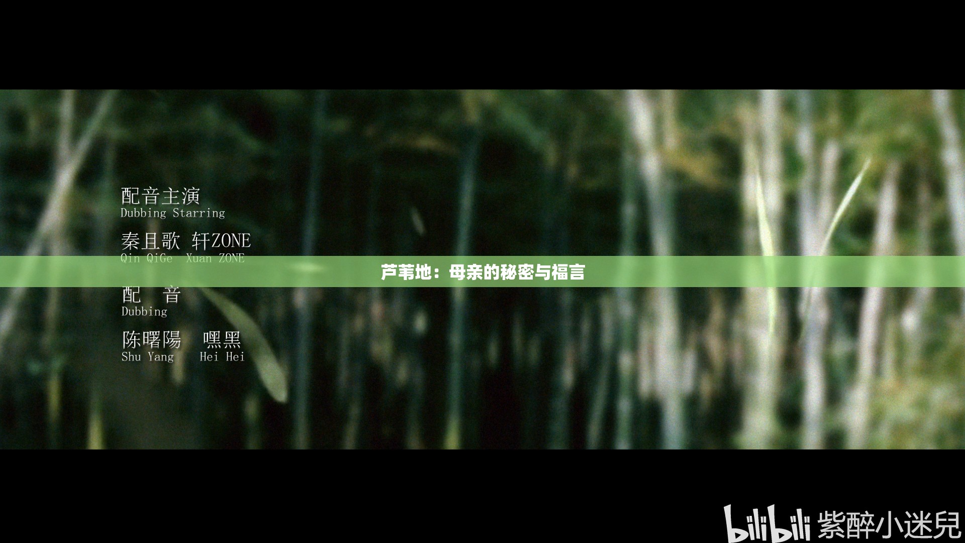 芦苇地：母亲的秘密与福言