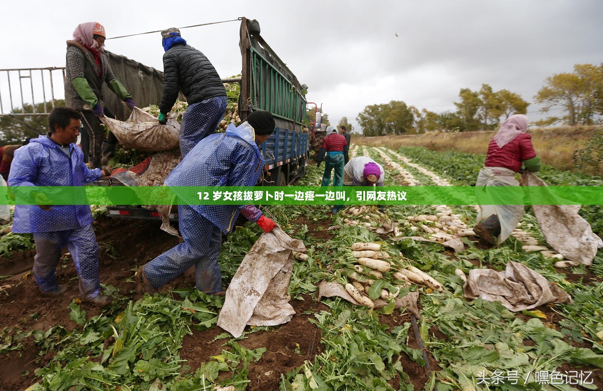 12 岁女孩拔萝卜时一边疼一边叫，引网友热议