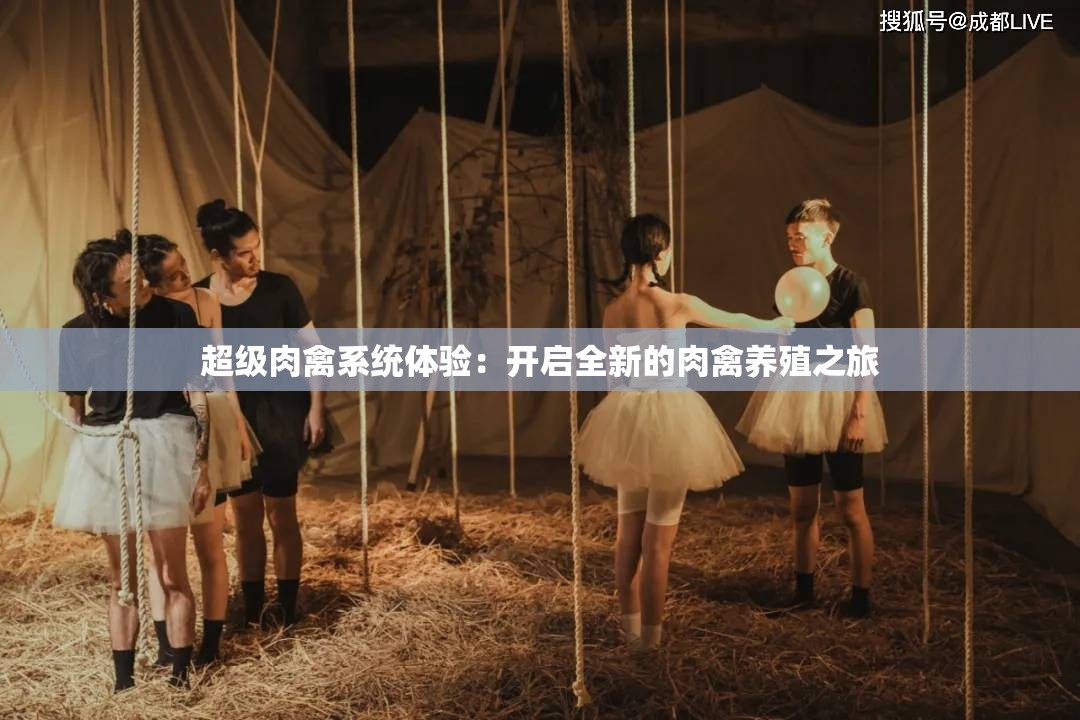 超级肉禽系统体验：开启全新的肉禽养殖之旅