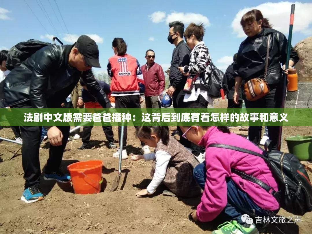 法剧中文版需要爸爸播种：这背后到底有着怎样的故事和意义