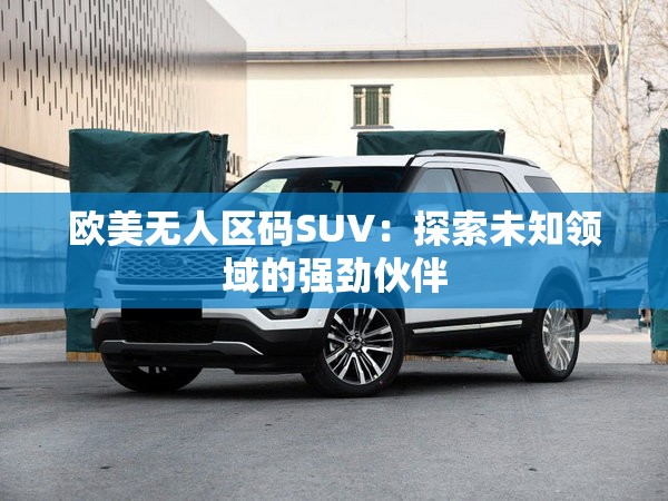 欧美无人区码SUV：探索未知领域的强劲伙伴