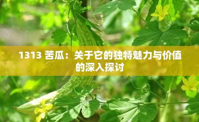 1313 苦瓜：关于它的独特魅力与价值的深入探讨