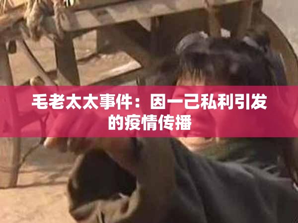 毛老太太事件：因一己私利引发的疫情传播