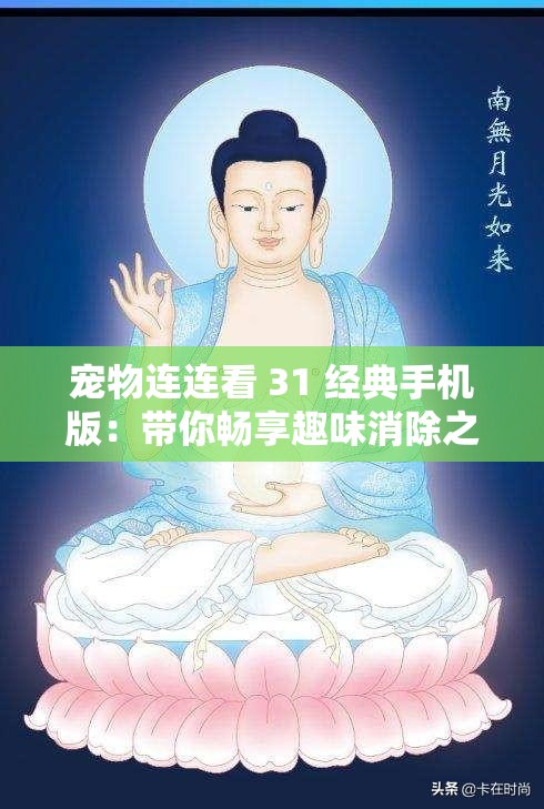 宠物连连看 31 经典手机版：带你畅享趣味消除之旅