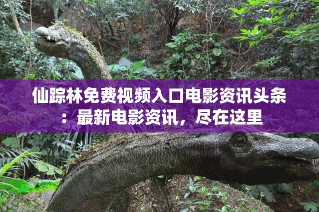 仙踪林免费视频入口电影资讯头条：最新电影资讯，尽在这里