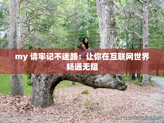 my 请牢记不迷路：让你在互联网世界畅通无阻