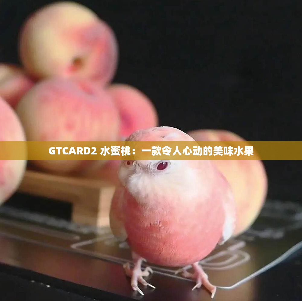 GTCARD2 水蜜桃：一款令人心动的美味水果