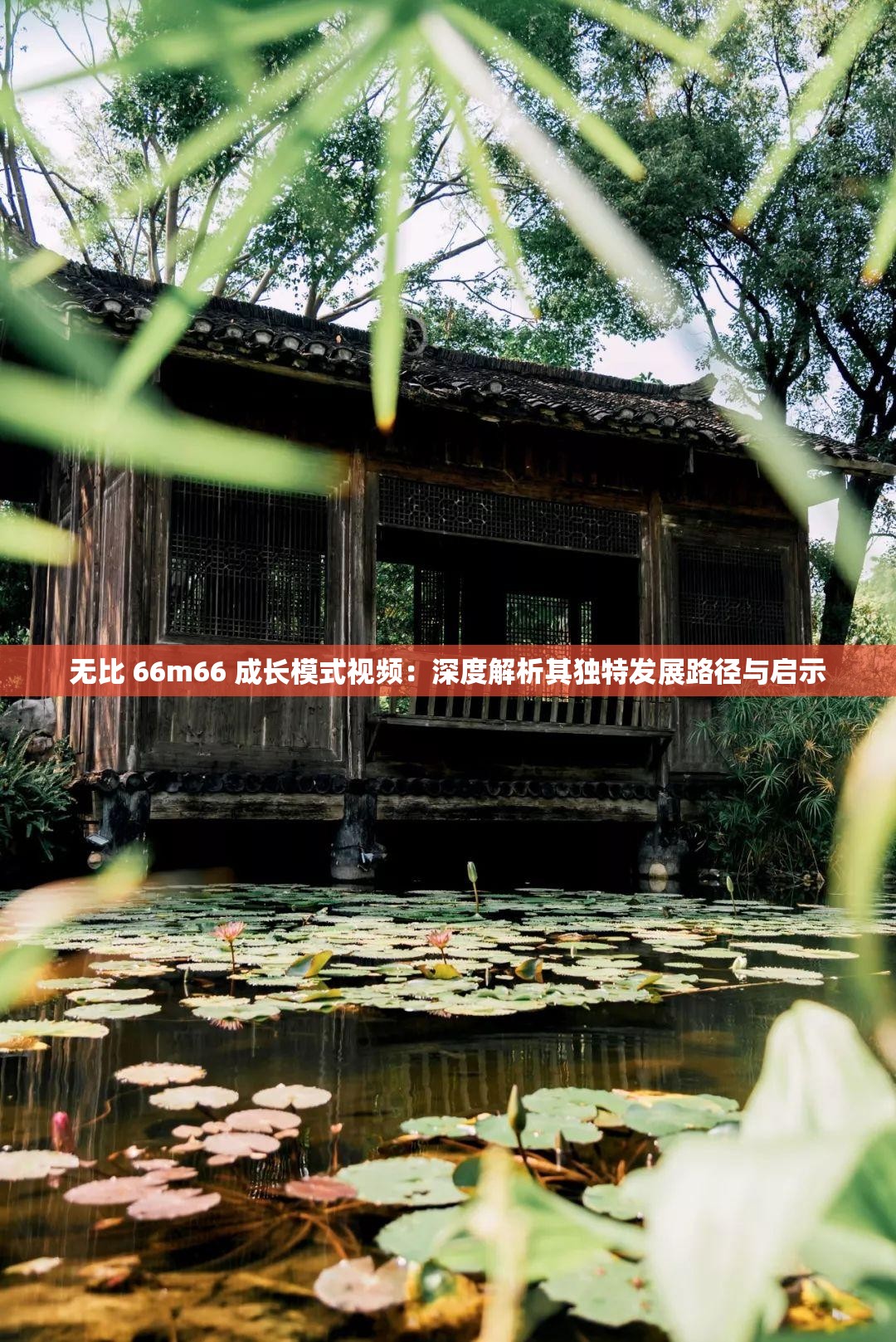 无比 66m66 成长模式视频：深度解析其独特发展路径与启示