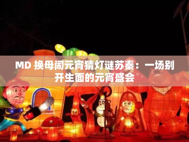 MD 换母闹元宵猜灯谜苏秦：一场别开生面的元宵盛会