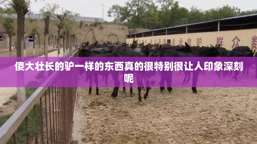 傻大壮长的驴一样的东西真的很特别很让人印象深刻呢