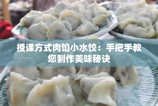 授课方式肉馅小水饺：手把手教您制作美味秘诀