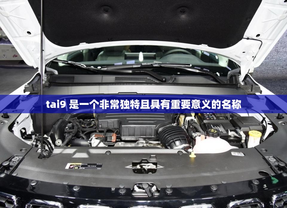 tai9 是一个非常独特且具有重要意义的名称
