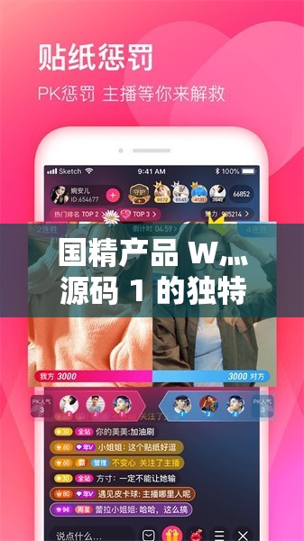 国精产品 W灬源码 1 的独特魅力与创新应用