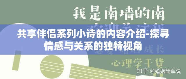 共享伴侣系列小诗的内容介绍-探寻情感与关系的独特视角