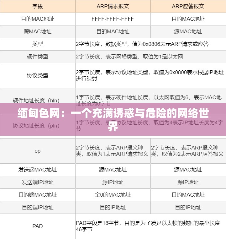 缅甸色网：一个充满诱惑与危险的网络世界