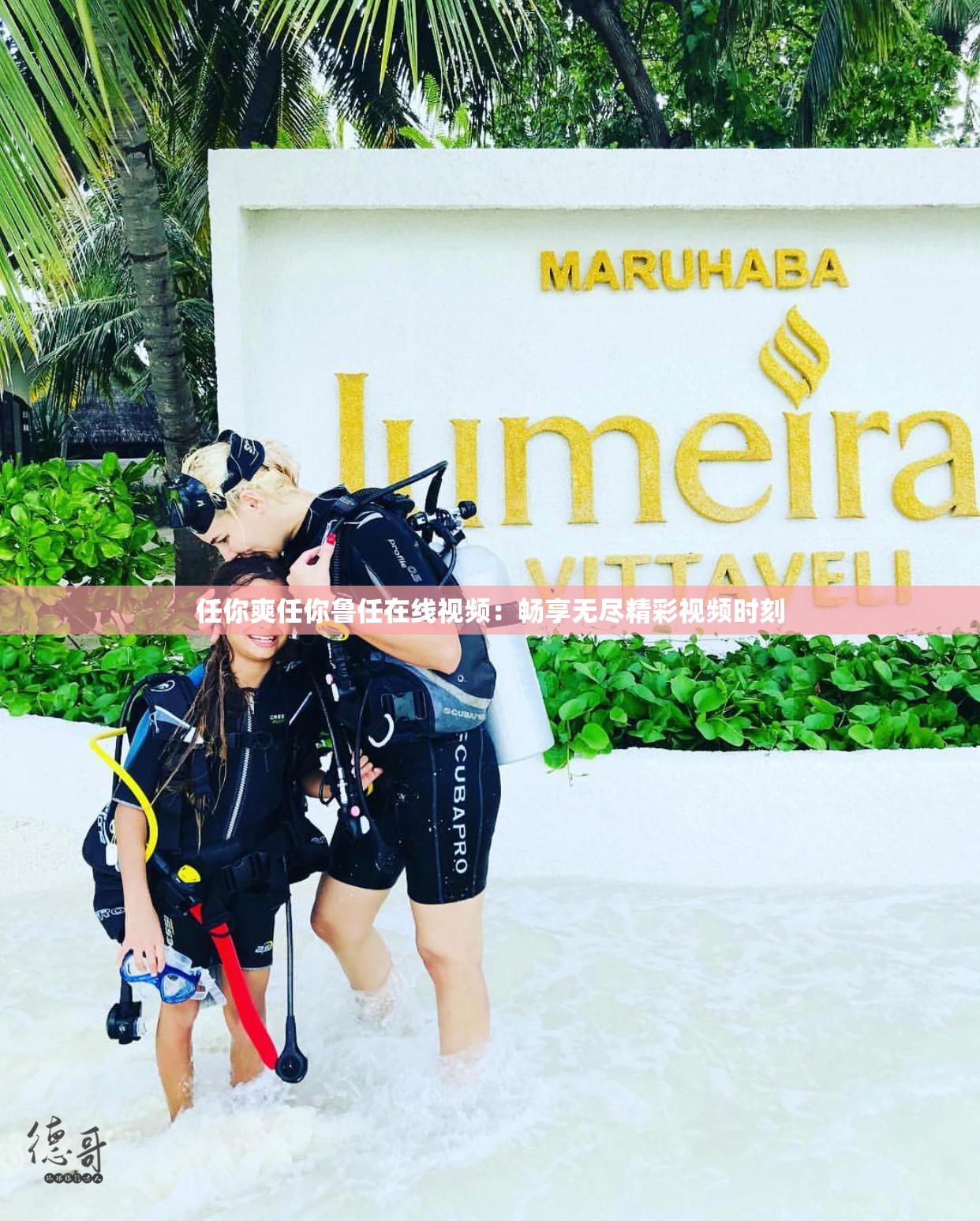 任你爽任你鲁任在线视频：畅享无尽精彩视频时刻