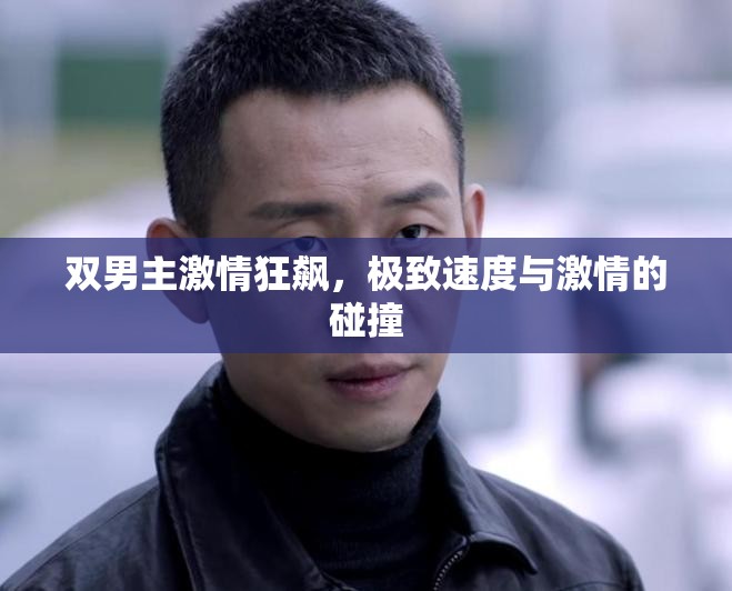 双男主激情狂飙，极致速度与激情的碰撞